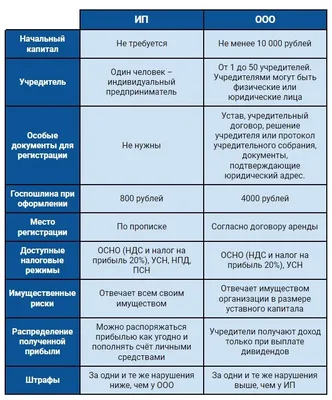 Пошаговая регистрация ООО в Беларуси в 2024 году