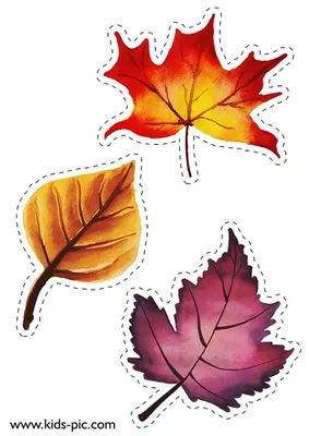 Картинки осенних листьев для вырезания обои
