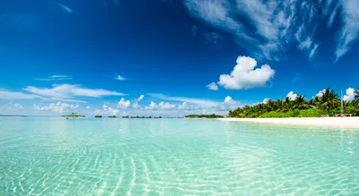 Спрос на Мальдивы упал на 37%. Как полетят туристы на острова в зимнем  сезоне? | Ассоциация Туроператоров
