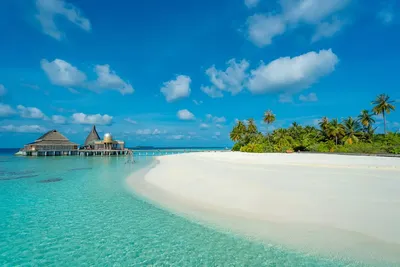 50 вещей, которые вам надо знать перед визитом на Мальдивы