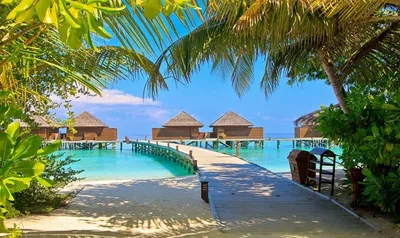 Отдых на Мальдивах 2022. Цены на горящые туры.