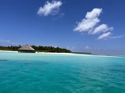 Мальдивы 🏖 фото пляжей 2024: биолюминесцентные, красивые и светящиеся