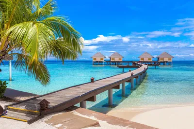 Сколько стоит отдохнуть на Мальдивах: точно дешевле, чем вы думаете / Блог  Chip.Travel