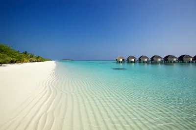 17 забавных фактов про Мальдивы, которые вы должны знать | ЕВРОИНС
