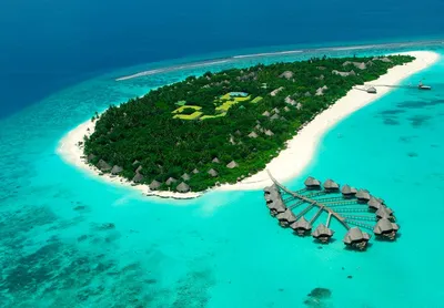 Фериду - Wild Maldives