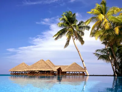 остров на мальдивах с прекрасными пляжами, картинка мальдивы пляж, пляж,  Мальдивы фон картинки и Фото для бесплатной загрузки