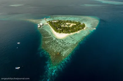 Новые отели 2023 года на Мальдивских островах: подборка хитов | Ассоциация  Туроператоров