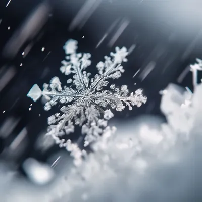 Завеса из падающего снега, в углу …» — создано в Шедевруме