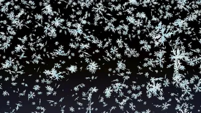 Снег на сайт Snowfall / Эффекты / Сниппеты Bootstrap | BootstrapТема