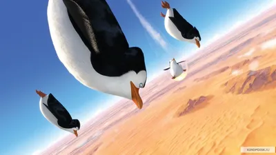Пингвины Мадагаскара (2014) – смотреть онлайн в хорошем качестве на Sweet TV