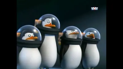 Пингвины Мадагаскара (Blu-Ray) - купить с доставкой по выгодным ценам в  интернет-магазине OZON (218807196)