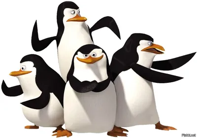 Пингвины из Мадагаскара - анонс на ТНТ (2009) - YouTube