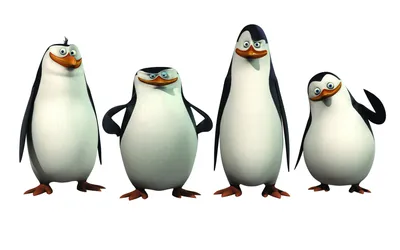 Пингвины из Мадагаскара на одной картинке - Пингвины из Мадагаскара -  YouLoveIt.ru