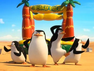 Пингвины Мадагаскара