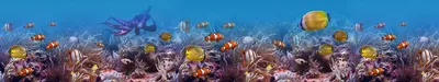 Маленькие рыбки под водой.. Стоковое Изображение - изображение  насчитывающей природа, взорвать: 170611085
