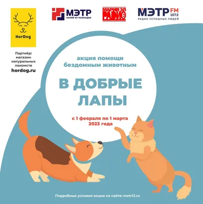 Проживающие отделения круглосуточного пребывания приняли участие в акции «Помощь  животным» — Бобруйский новостной портал Bobrlife