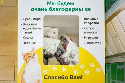 Корзина добра» собирает средства на помощь животным - Vera.kz | Новости,  События, Происшествия, Истории