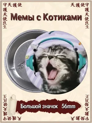Пушистые, смешные и любимые: коты и кошки сотрудников ГТРК \"Томск\"