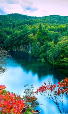 Обои природа, отражение, вода, реки, водный путь на телефон Android,  1080x1920 картинки и фото бесплатно