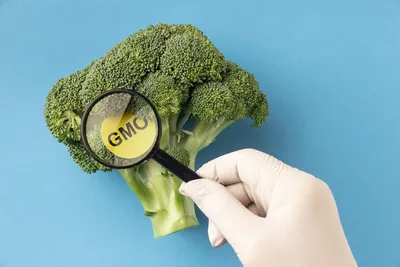 Закон о ГМО • Нормы содержания ГМО в продуктах питания - ТОВ «Бiокор  Текнолоджi ЛТД»