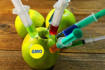 Продукты с ГМО отметят специальным значком - Российская газета