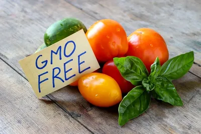 Что такое ГМО-продукты и можно ли их есть - Чемпионат