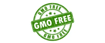 Кто такие ГМО-агрономы и как стать одним из них | РБК Тренды