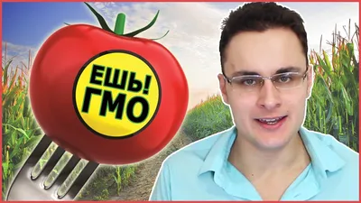 ГМО – Глобальная Международная Опасность - OilWorld.ru - все масла мира