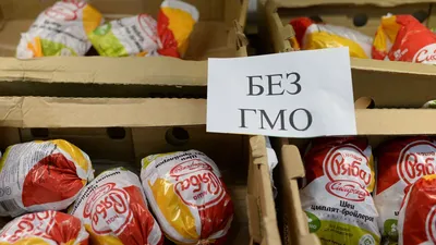 Стоит ли осторожничать с ГМО? Китайский пример — Новый Тамбов