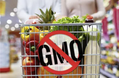 Почему важна этикетка ГМО?
