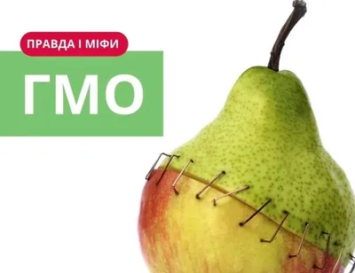 ГМО в продуктах: вред или польза? | Экологика - YouTube