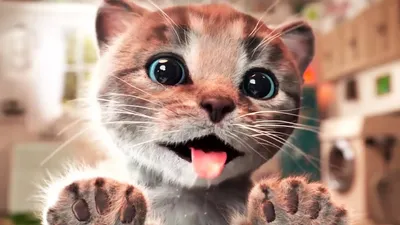 LITTLE KITTEN'S ADVENTURE cartoon funny video for kids cartoon about cats  #MM - YouTube