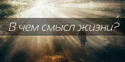 Редакция газеты \"Время и жизнь\" 2024 | ВКонтакте