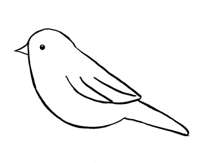 Красивые легкие рисунки птиц - 44 фото