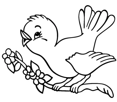 Легкие рисунки птиц для начинающих (48 фото) » рисунки для срисовки на  Газ-квас.ком
