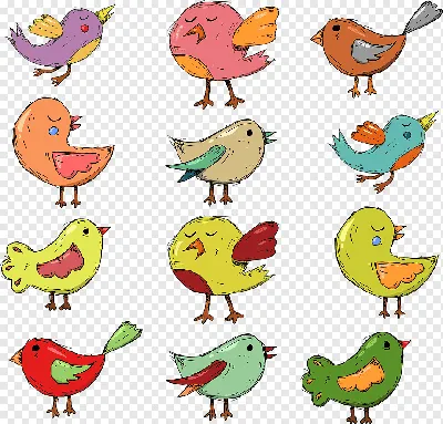 Картинки птиц для срисовки обои