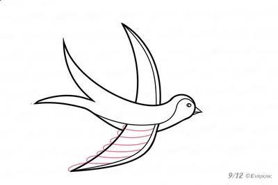 Перелетные птицы рисунок карандашом (47 фото) » Рисунки для срисовки и не  только