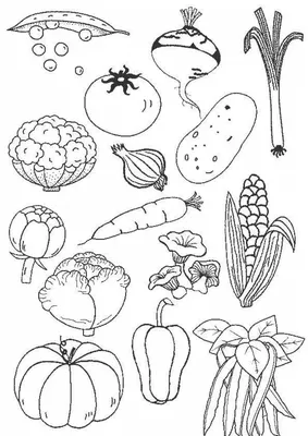 Раскраски Раскраска Овощи Овощи, Раскраски Кукуруза.