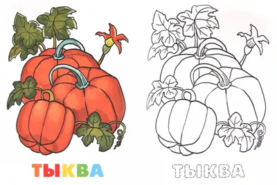 Раскраска Овощи и фрукты раскрась по образцу купить по цене 48 ₽ в  интернет-магазине Детский мир