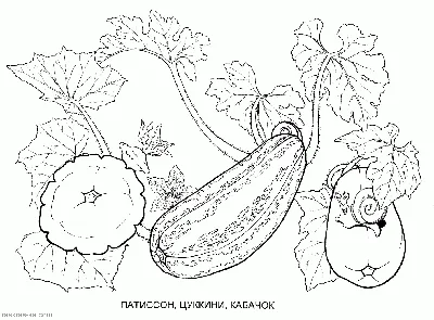 Иллюстрация 1 из 5 для Раскраска. Овощи | Лабиринт - книги. Источник:  Лабиринт
