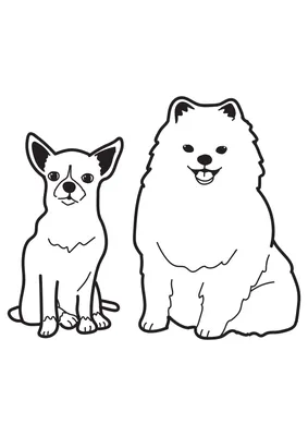 Раскраска Вельш корги | Раскраски собак, рисунки собак, картинки собак