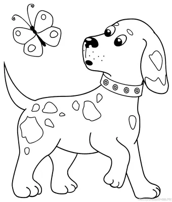 Раскраски Собака для детей 5 6 лет (32 шт.) - скачать или распечатать  бесплатно #21118