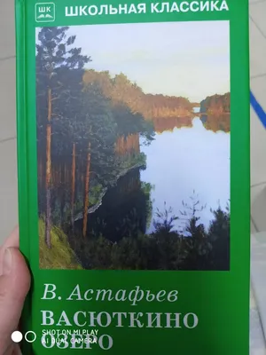Стрекоза Книга Школьная Программа Васюткино озеро - Акушерство.Ru