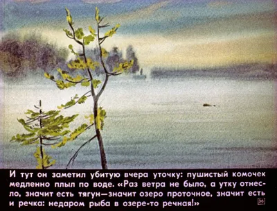 Иллюстрация 15 из 15 для Васюткино озеро - Виктор Астафьев | Лабиринт -  книги. Источник: OliyaOliya