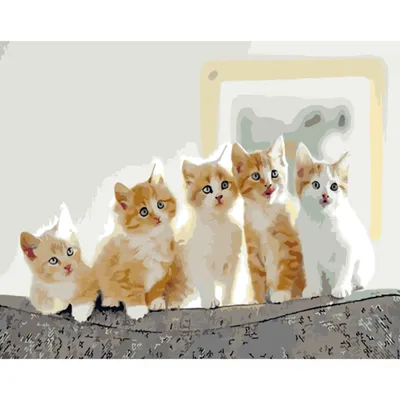 Картина по номерам Рыжий котенок 40х50 см - купить с доставкой по выгодным  ценам в интернет-магазине OZON (522289565)