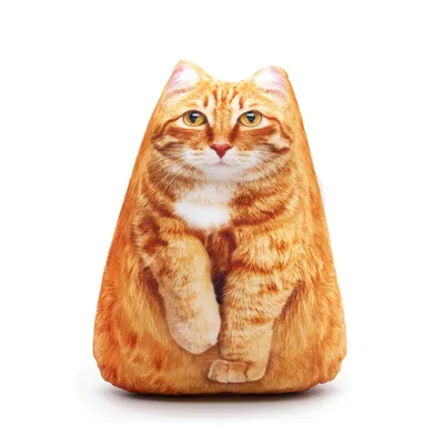 Котенок рыжий (195 фото) - фото - картинки и рисунки: скачать бесплатно