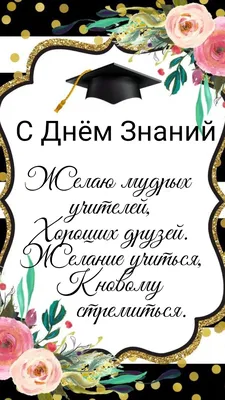 Фотозона баннер с шарами на 1 сентября - купить в Москве | SharFun.ru
