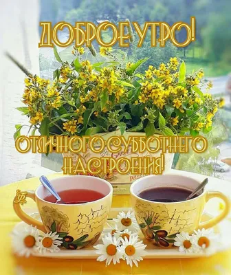 С Добрым Утром!Заходите на чай! :) — Фото | OK.RU | Доброе утро, Фотография  юмор, Счастливые картинки