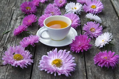 Чай-цветок: эстетическое удовольствие | Самое интересное о чае | Дзен