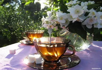 чашка из темного стекла с травяным горячим льдом чая с цветущими цветами  липы Стоковое Изображение - изображение насчитывающей хромая, кафе:  221110203